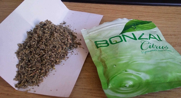 "Bonzai" yeşil sahalarda !