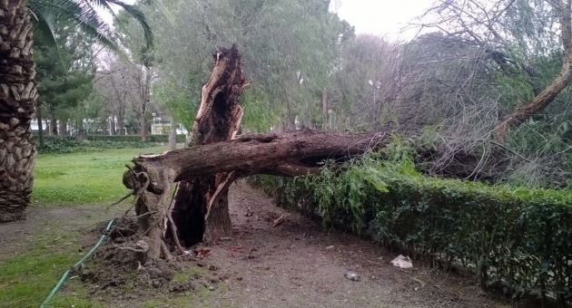 İzmir'de lodos teyakkuzu