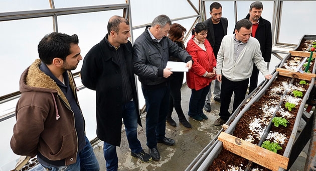 Topraksız tarım “yükselen değer” oldu