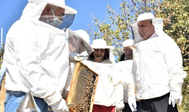 Bornova'da ilk bal sağımı yapıldı