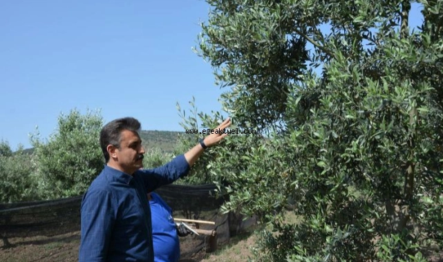 Dikili Belediyesi “Tarım Zirvesi”nde Yer Alacak 