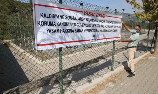 Gaziemir Belediyesi can dostların yaşam hakkına dikkat çekiyor
