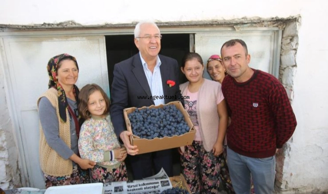 Kavacık Üzüm Festivali gün sayıyor