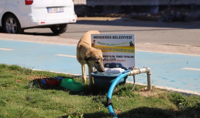 Can Dostlar İçin Su Odakları