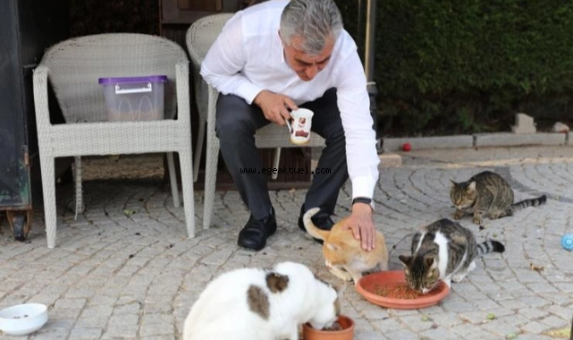 Güzelbahçe ‘den Ortak Çağrı: “Satın alma, sahiplen”