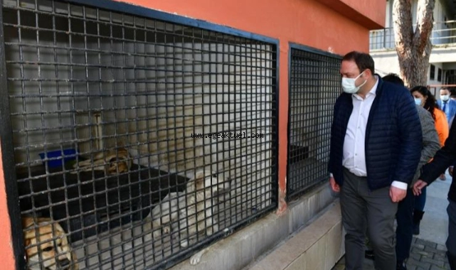 Çiğli Belediyesi Kara Kış Öncesi “Sokak Sakinlerini” Unutmadı