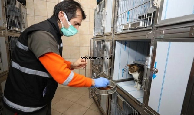 Can dostların kafesleri artık daha konforlu