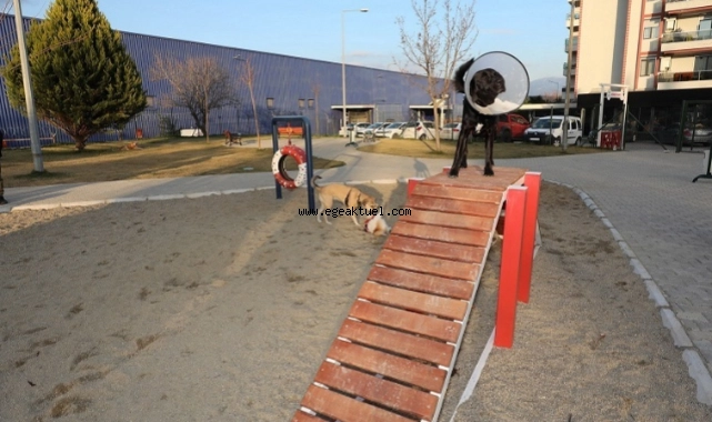 Gaziemir’de köpeklere özel park açıldı
