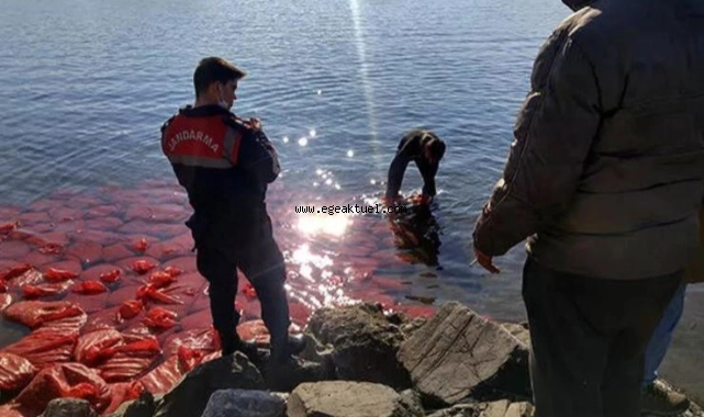 İzmir’de 2 ton canlı beyaz midye ele geçirildi