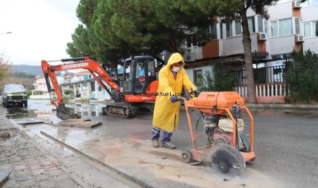 Bir mevsim değil her mevsim hizmet
