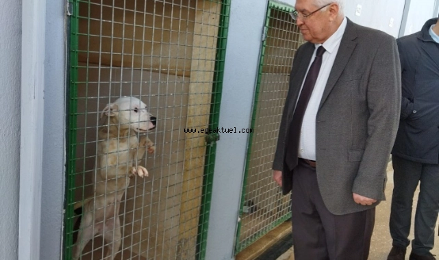 Can dostlar için örnek sistem