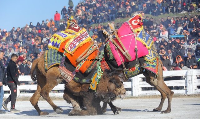 Efes Selçuk’ta 40 yılın güreşine yoğun ilgi