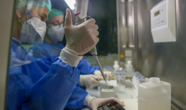 İzmir'deki PCR laboratuvarında 5 örnekten biri pozitif çıkıyor
