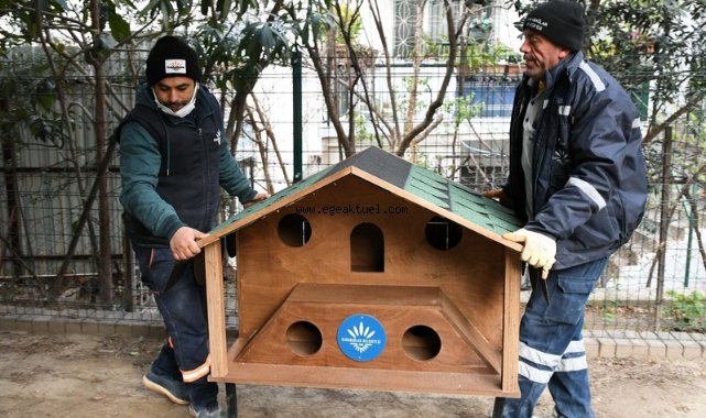 Karabağlar Belediyesi parklara kedi evleri yerleştiriyor