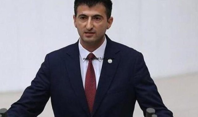 Memleket Partili Çelebi: Parti görevlerimden istifa ediyorum