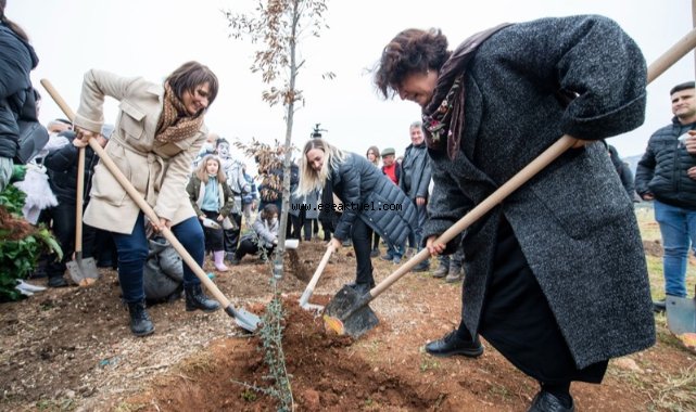 Soyer: “Her bir ağaca dair sorumluluğumuz var”
