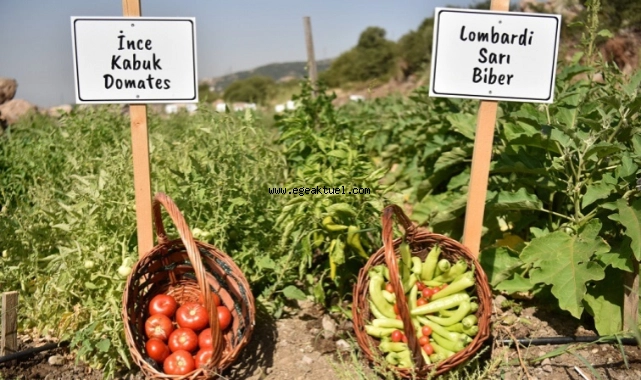 Sürdürülebilir tarım için sürekli destek