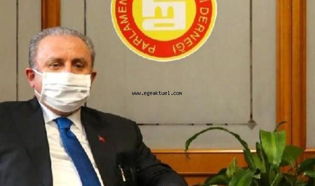  Şentop'tan HDP'li Güzel açıklaması