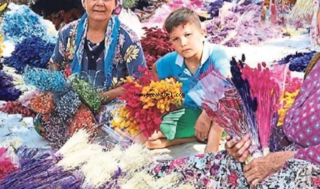 Bayındır Her Mevsim Çiçek Gibi
