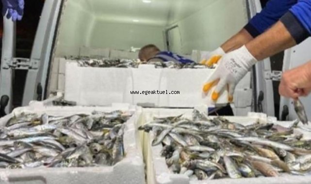 İzmir'de yaklaşık 8 ton balığa el kondu