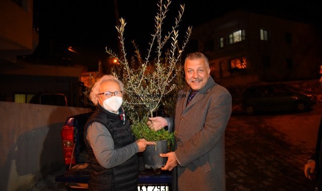 Bornova’da Zeytin Budama Eğitimi