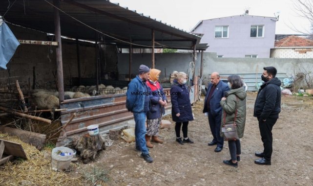 Buca Belediyesi’nden çiftçiye arpa desteği