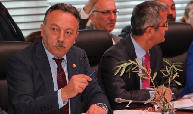 Yüzlerce Yıllık Zeytin Ağaçlarımız Madenlere Kurban Edilecek