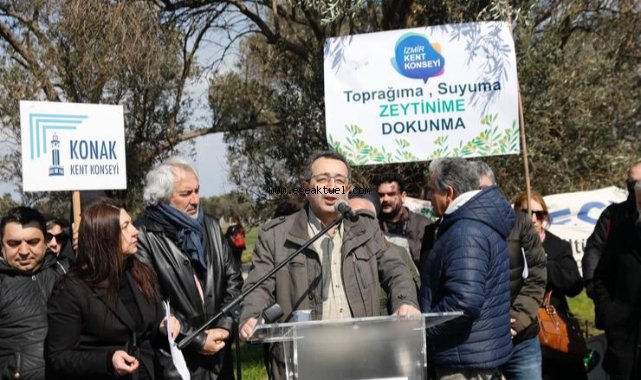 “Zeytini en iyi beraber büyüdüğü insanlar savunur”