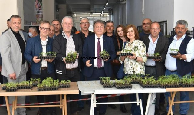 Bornova’da üreticiye 350 bin fide