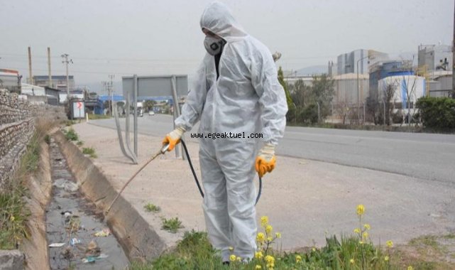 Kemalpaşa’da Larva İle Mücadele Sürüyor