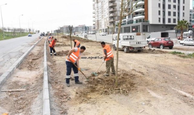 Menemen'de ağaç dikme seferberliği