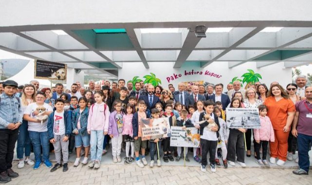 Sahipsiz dostlar İzmir’de emin ellerde