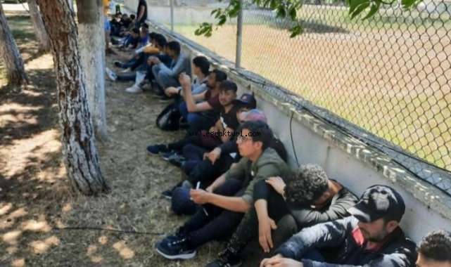İzmir'de 237 kaçak göçmen ile 10 organizatör yakalandı