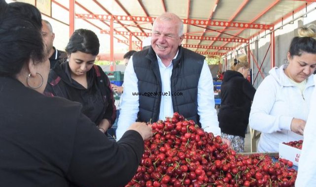 Kemalpaşa’da kiraz alım merkezleri denetleniyor