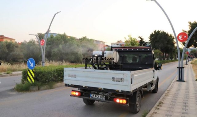 Menderes'te haşerelere karşı seferberlik