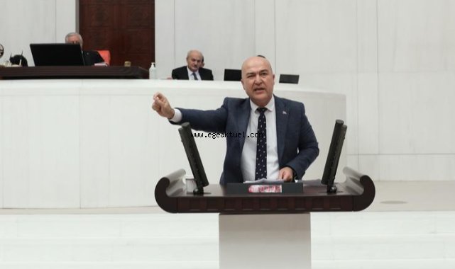 CHP’li Bakan’ın “kesilen palmiye ağaçları” önergesine yanıt geldi