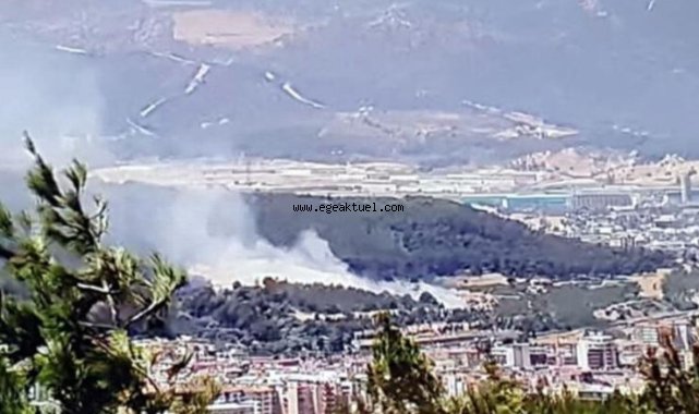 İzmir'de makilik yangını