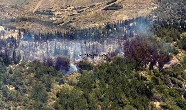 İzmir'de orman yangını! Havadan ve karadan müdahale ediliyor