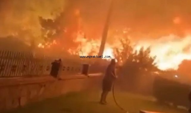 İzmir’de evlere yakın noktada yangın
