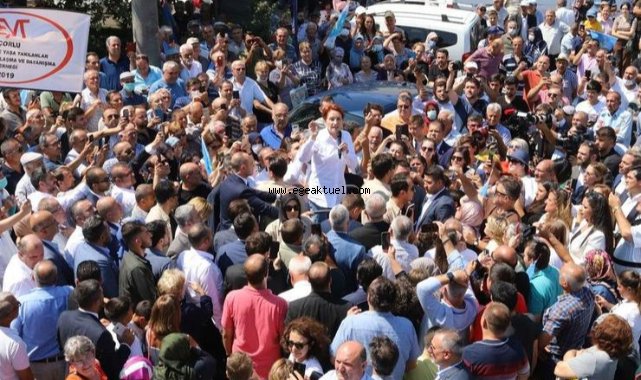 Akşener, ayçiçek teklifini açıkladı