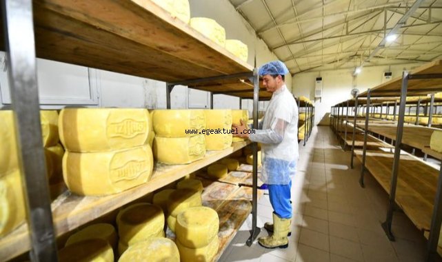 İzmirli üretici Terra Madre Anadolu ile dünyaya açılıyor