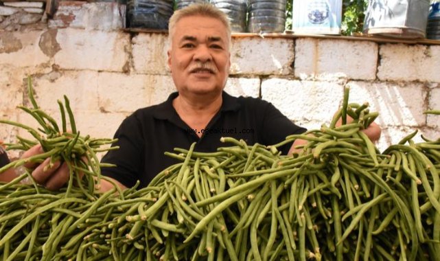 Karakızlar’da “Börülce Festivali” yapılacak
