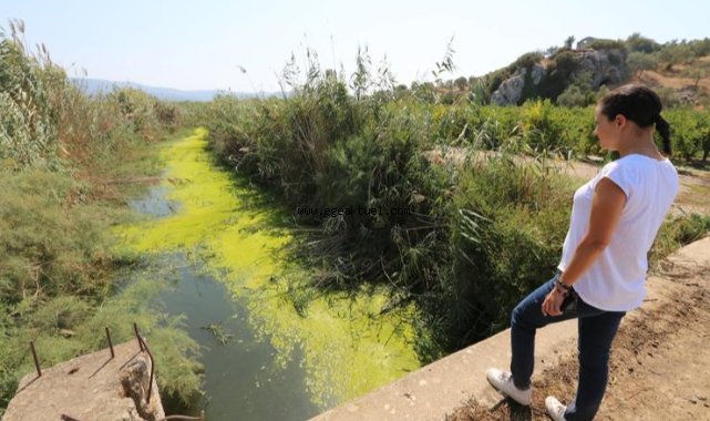 “Kuyu Kurumadan” Su Çalıştayları Devam Ediyor