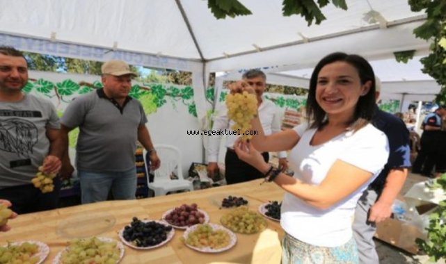 Efes Selçuk'ta üzüm şenliği heyecanı