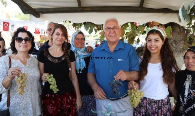 Kavacık yine Üzüm Festivali'yle şenlenecek