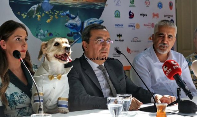 Patilerin Festivali’nden üçüncü kez Merhaba