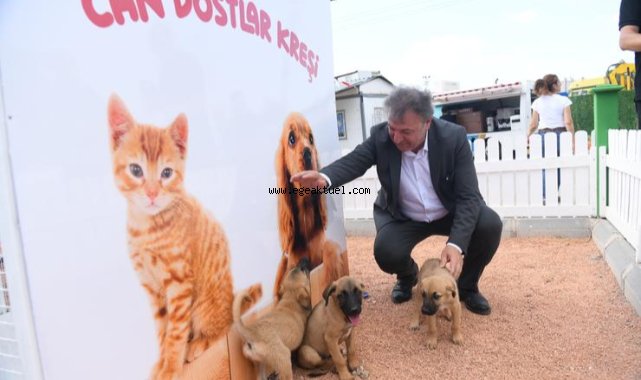 Bornova’da sokak canlarına özel ilgi