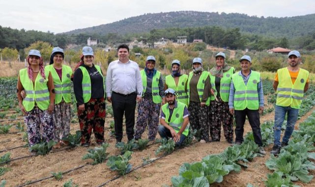 Bucalı çiftçilerden kış sezonunun ilk hasadı