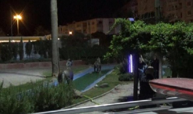 İzmir’de parkta köpek tartışması: Cam şişe ile boğazı kesildi