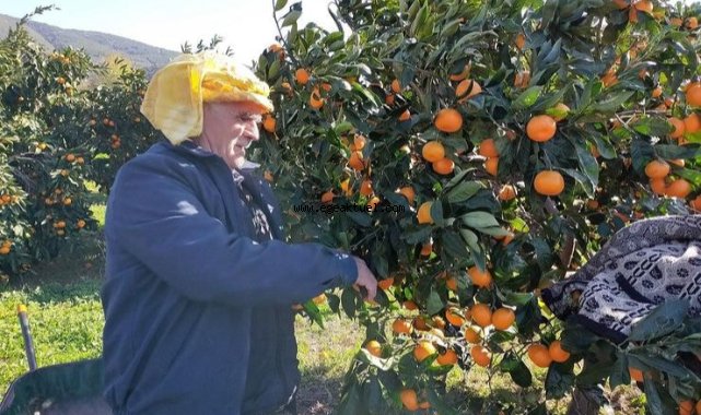 Karaburun’da bu Pazar “Turuncu Şenlik” var…